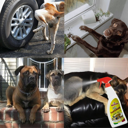 Sredstvo za Odbijanje Pasa i Mačaka 750ml