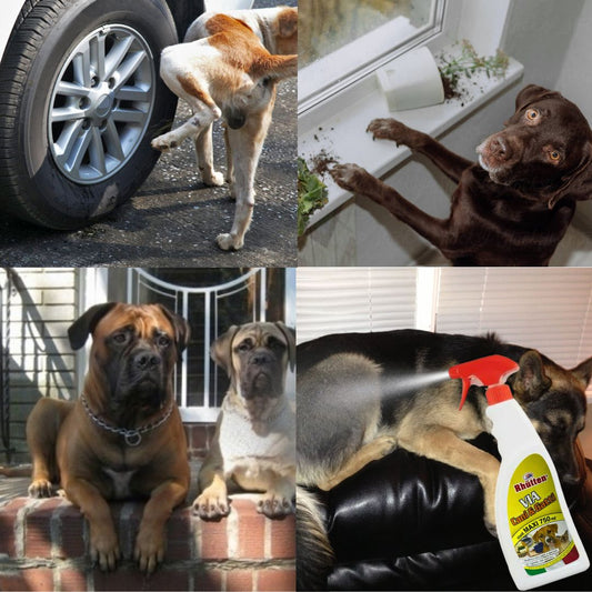 Sredstvo za Odbijanje Pasa i Mačaka 750ml